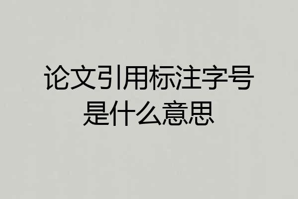 论文引用标注字号是什么意思