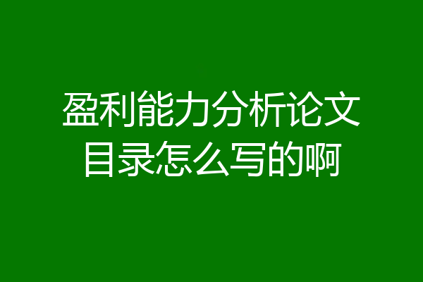 盈利能力分析论文目录怎么写的啊