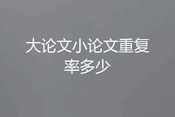 大论文小论文重复率多少
