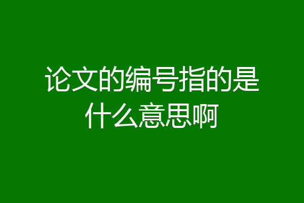 论文的编号指的是什么意思啊