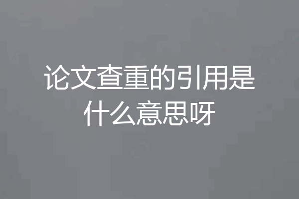 论文查重的引用是什么意思呀