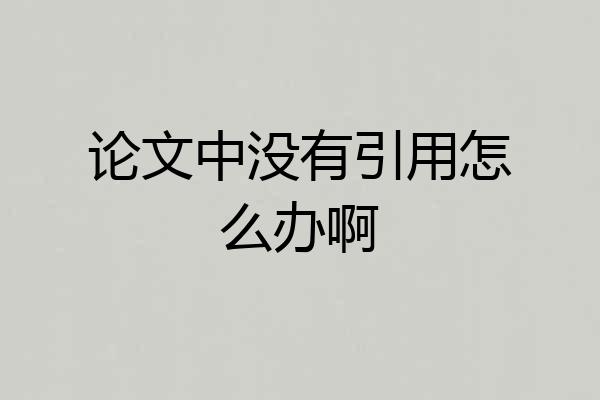 论文中没有引用怎么办啊
