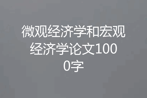 微观经济学和宏观经济学论文1000字