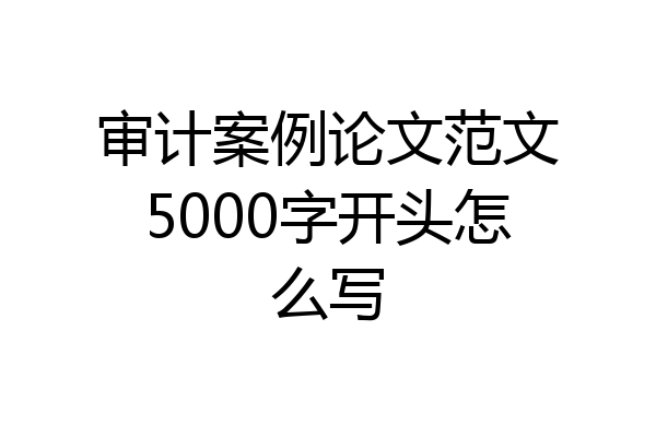 审计案例论文范文5000字开头怎么写