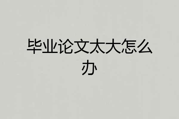毕业论文太大怎么办