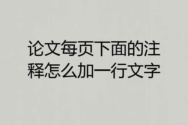 论文每页下面的注释怎么加一行文字