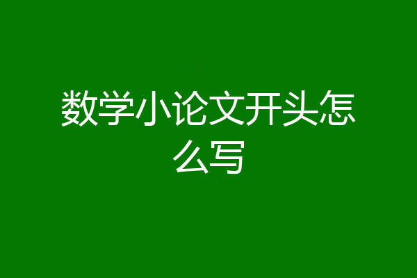 数学小论文开头怎么写