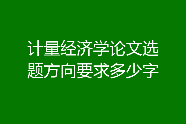 计量经济学论文选题方向要求多少字