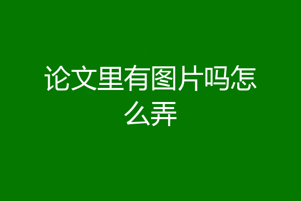 论文里有图片吗怎么弄