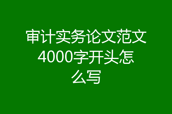 审计实务论文范文4000字开头怎么写
