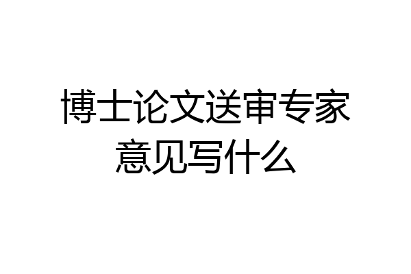 博士论文送审专家意见写什么