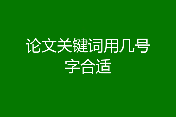 论文关键词用几号字合适