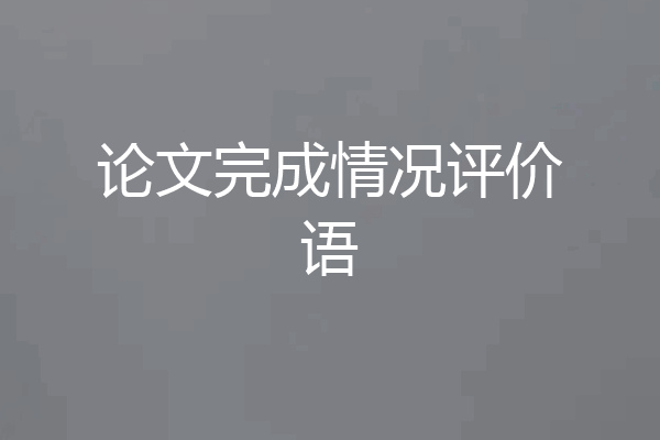 论文完成情况评价语