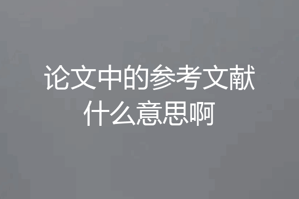 论文中的参考文献什么意思啊