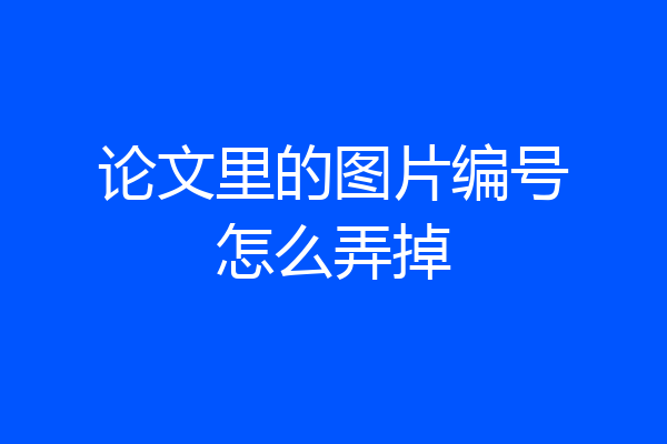 论文里的图片编号怎么弄掉