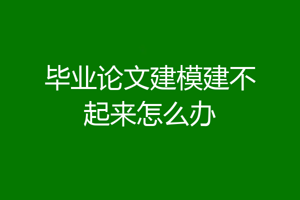 毕业论文建模建不起来怎么办