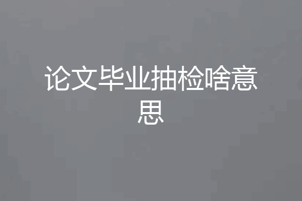 论文毕业抽检啥意思