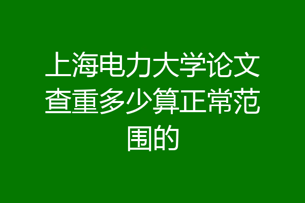 上海电力大学论文查重多少算正常范围的
