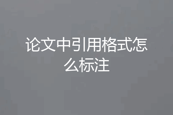 论文中引用格式怎么标注