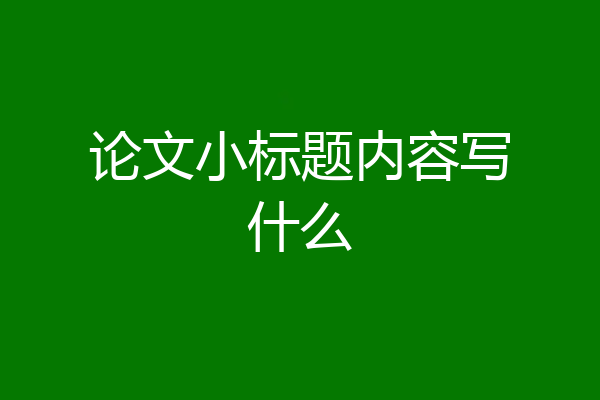 论文小标题内容写什么
