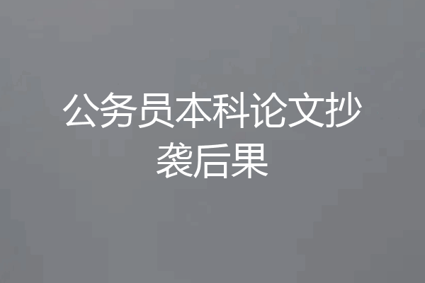 公务员本科论文抄袭后果