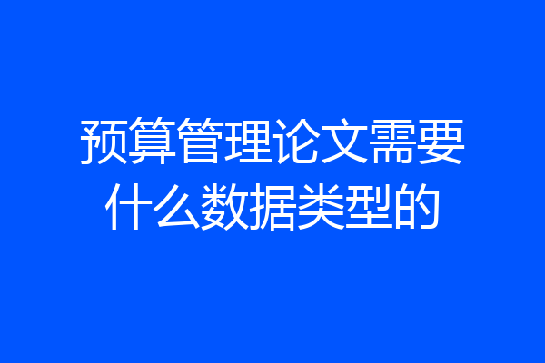 预算管理论文需要什么数据类型的