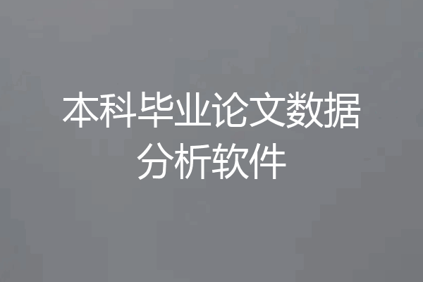 本科毕业论文数据分析软件