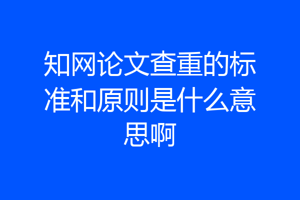 知网论文查重的标准和原则是什么意思啊