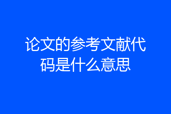 论文的参考文献代码是什么意思