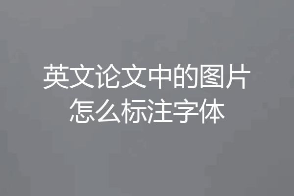 英文论文中的图片怎么标注字体