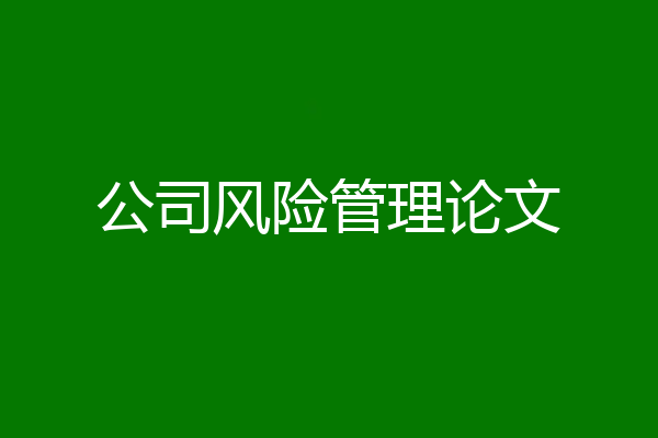 公司风险管理论文