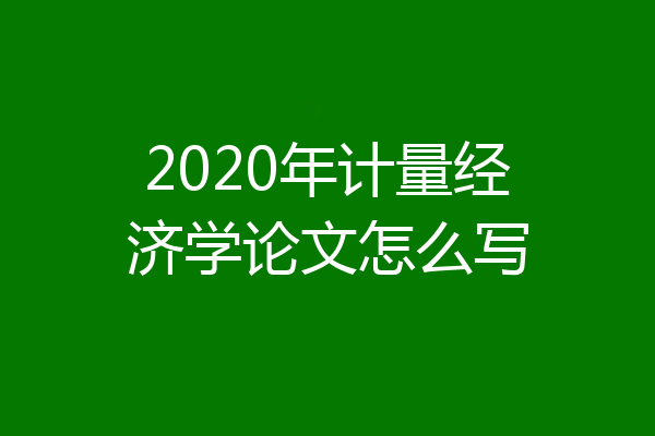 2020年计量经济学论文怎么写