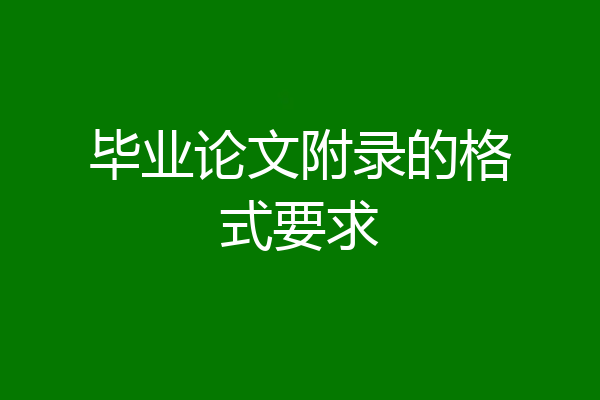 毕业论文附录的格式要求