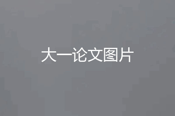大一论文图片