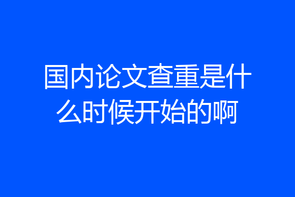 国内论文查重是什么时候开始的啊
