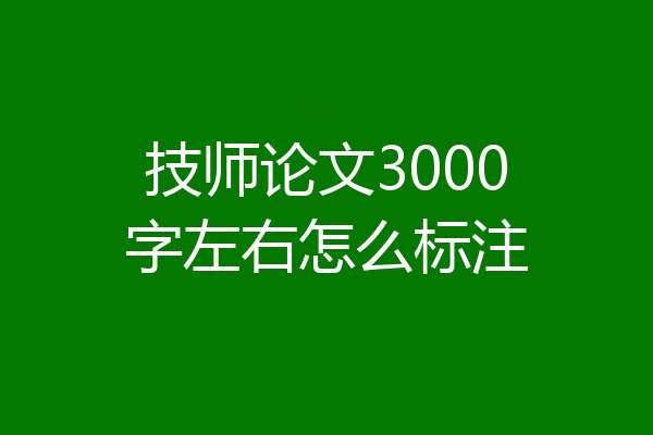 技师论文3000字左右怎么标注