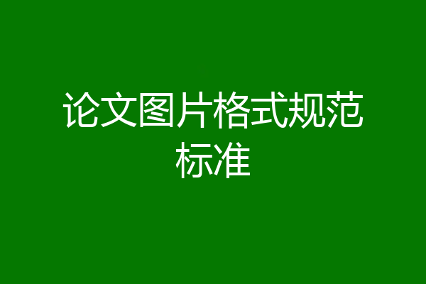 论文图片格式规范标准