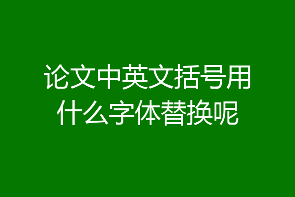 论文中英文括号用什么字体替换呢