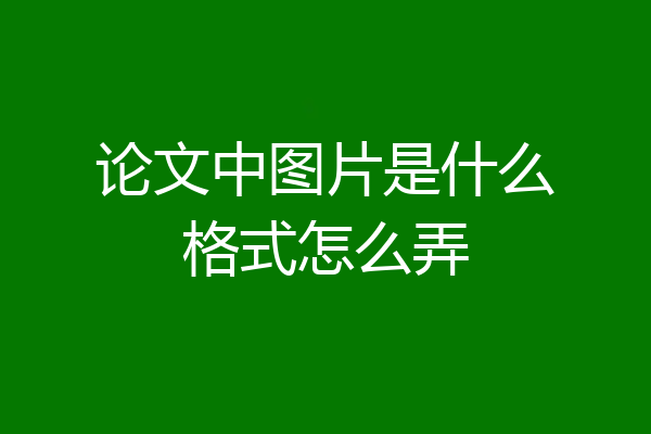 论文中图片是什么格式怎么弄