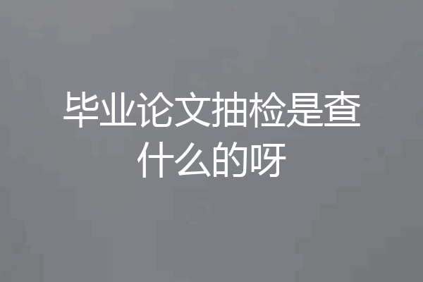毕业论文抽检是查什么的呀