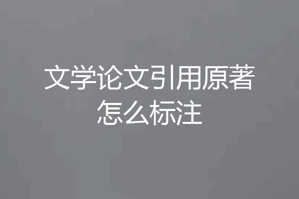 文学论文引用原著怎么标注