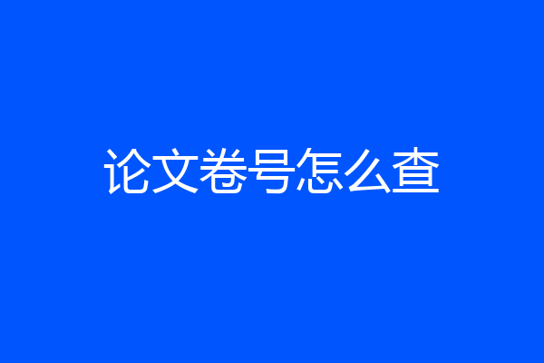 论文卷号怎么查