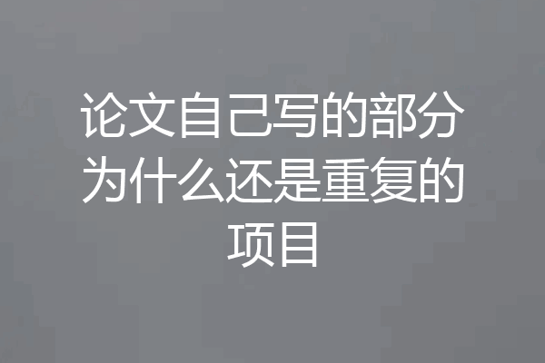 论文自己写的部分为什么还是重复的项目