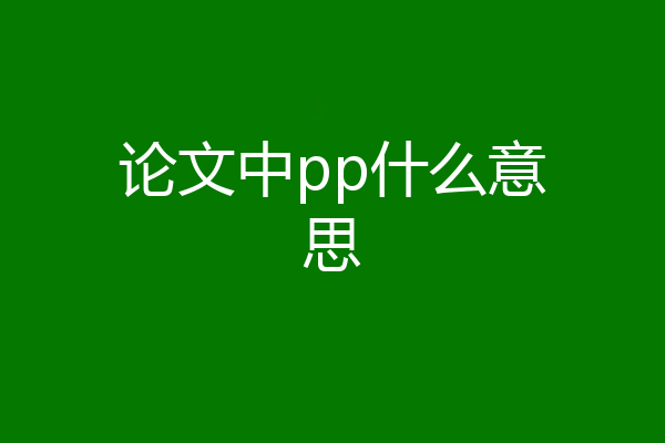 论文中pp什么意思