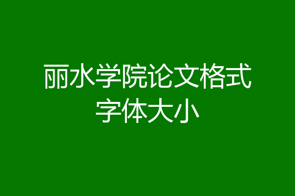 丽水学院论文格式字体大小