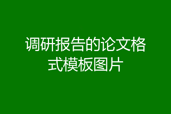 调研报告的论文格式模板图片