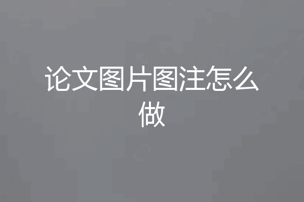 论文图片图注怎么做