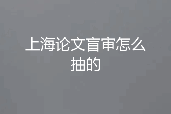 上海论文盲审怎么抽的