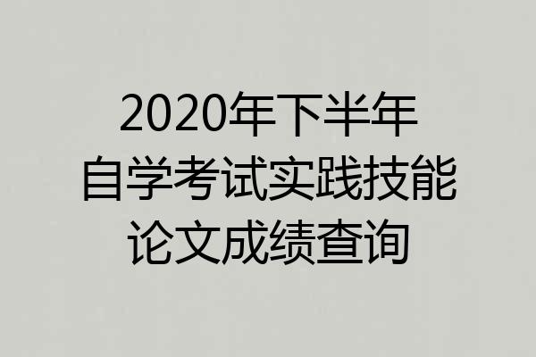 2020年下半年自学考试实践技能论文成绩查询