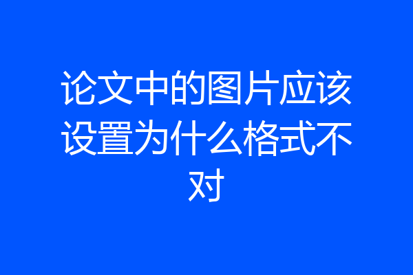论文中的图片应该设置为什么格式不对